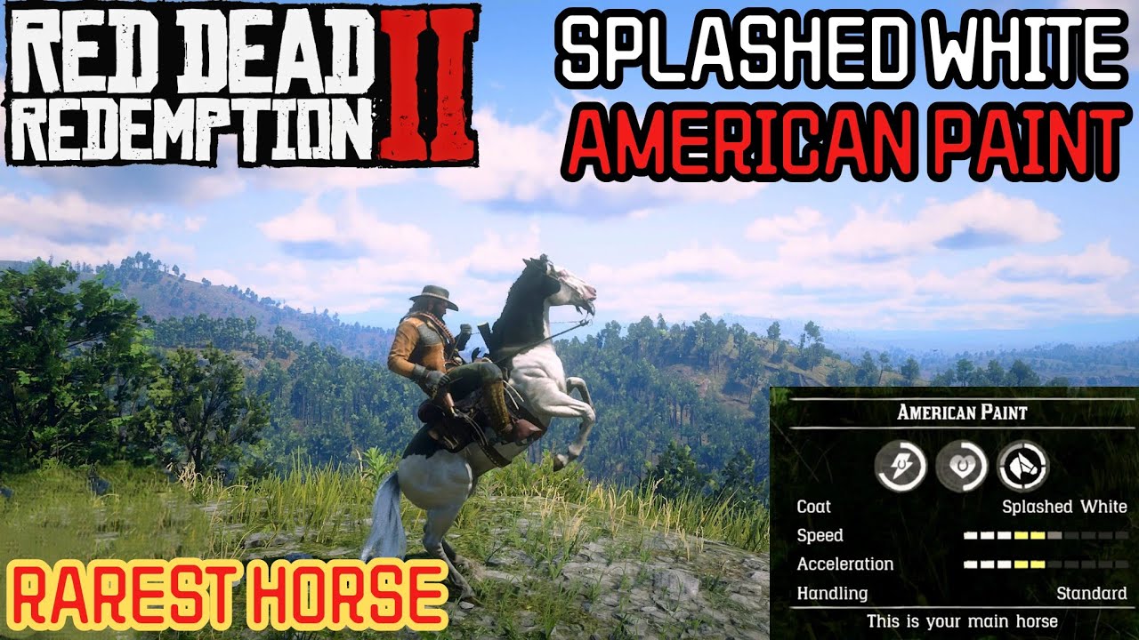 Splashed White American Paint RDR2 Horse Location - YouTube