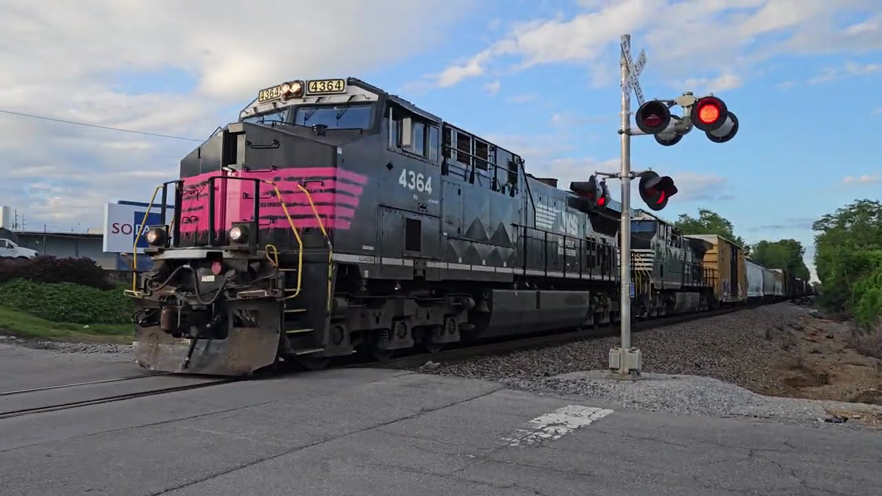 【nao】 15T with the Pink Nose AC44C6M 4364 leading 5/4/2025