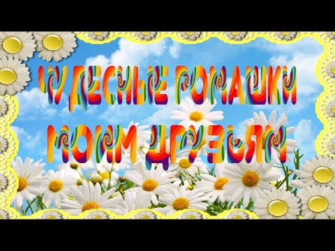 Чудесные ромашки для моих друзей for friends Пожелания Самая красивая видео открытка