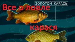 Диалоги о рыбалке - Выпуск 215 - Все о  ловле карася.(В этом выпуске эксперты-рыболовы расскажут об отличительных особенностях Серебряного и Золотого подвидов..., 2013-07-29T16:10:16.000Z)