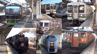 新前橋駅  休日の豊富な臨時列車たち  (115系・107系・SL等)