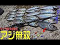 メタルアジング一人爆釣モード！巻き速度、アクションでも変わる？魚子メタルひらりが本領発揮