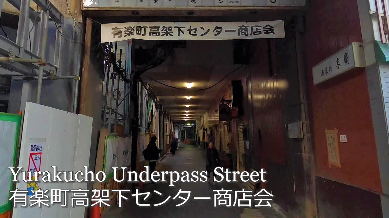 高架下の飲み屋街 有楽町高架下センター商店会 Yurakucho Underpass Shopping Street Jan Goprohero8 4k Youtube