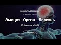 Вебинар Эмоция- Орган - Болезнь с Ириной Тулиной