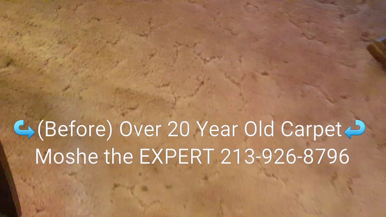 How To Restore Clean TRASHED Carpet With Rotovac 360i Rinsed Organic