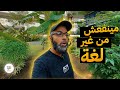 هل يمكن أن تتزوج بدون لغة تعالا وأنا أقولك هل يمكن أن تتزوج بدون لغة تعالا وأنا أقولك