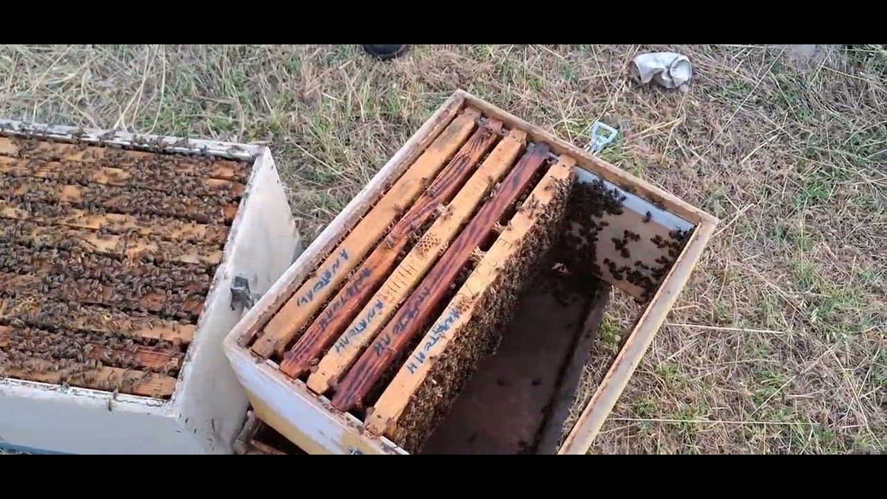 21 Ιουνίου 2025