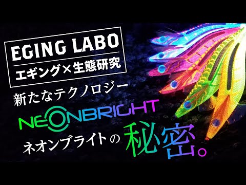 【エギングラボ】VOL.7 YAMASHITAの新たなテクノロジー ネオンブライト“ネオブラ”とは！？