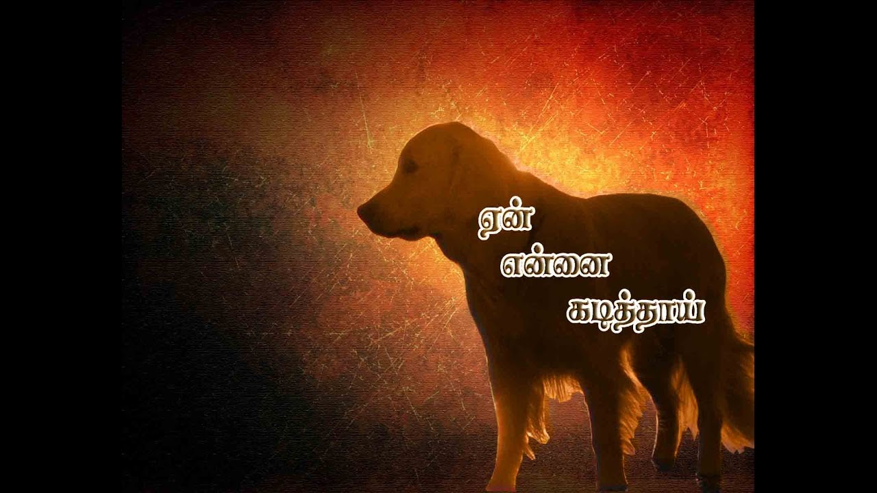 shredder ஏன் என்னை கடித்தாய்-DETAILING LORD SUKRA