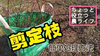 ♯236【ちょっと役立つ農ライフ】剪定の枝の処理はコレで簡単快適に！