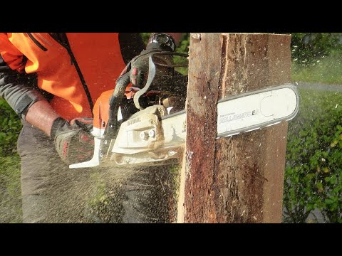 Chainsaw Safety Training (CAN) - Online Course