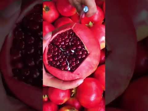 تقشير الرمان شاهد الرمان الاحمر رمان احمر جميل طريقة تقشير الرمان رمان 