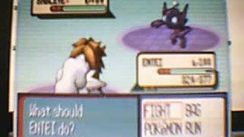 pokemon ruby battle E4 And champion