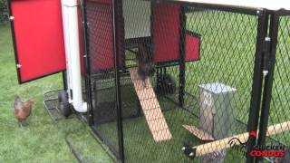 chicken ramp coop condos