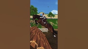 Hanoverian jump!! #edit #sso #horse #starstable #equestrian #shorts #subscribe #like #games