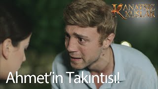 Ben evlenmek istemiyorum! - Kanatsız Kuşlar 5.  Resimi