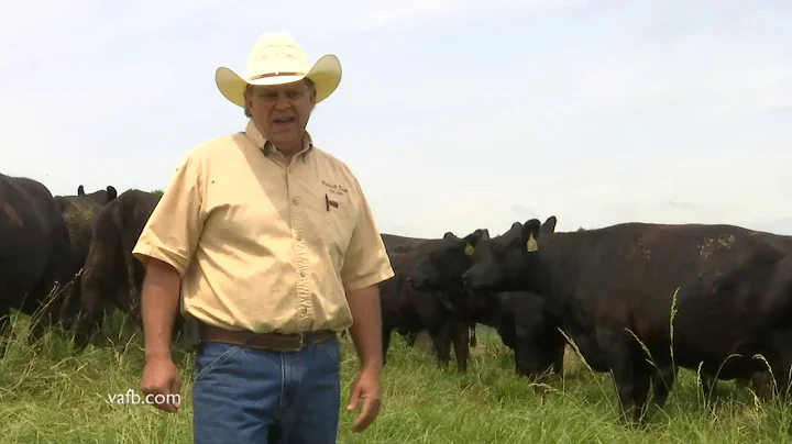 Fauquier County Agricultural Close-up