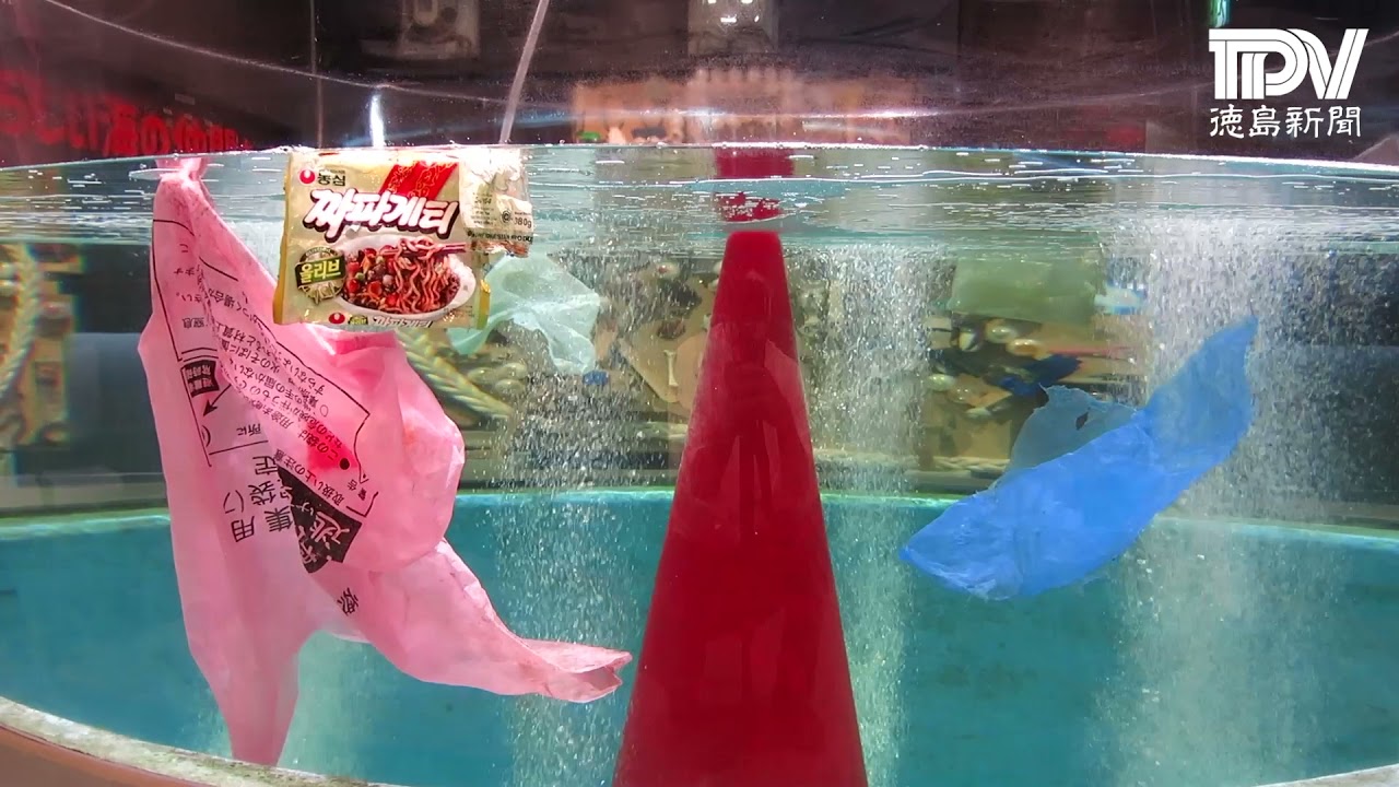 未来との約束 動画あり ビニール袋や釣り道具 海のごみ こんなに多く 室戸の水族館で企画展 社会 徳島ニュース 徳島新聞電子版