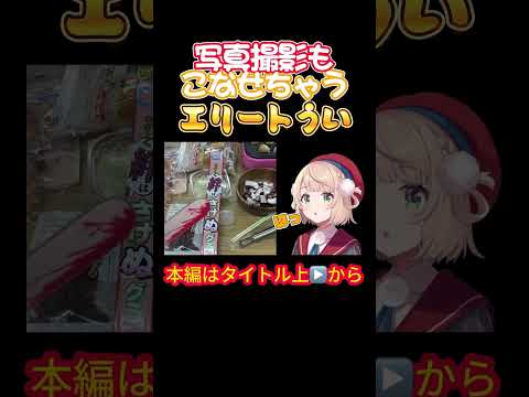 【ホロライブ】写真撮影もこなせちゃうエリートうい【赤井はあと/しぐれうい/ういちゃま/大空スバル/角巻わため/ラプラス・ダークネス/オフコラボ】