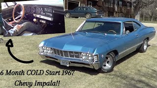 COLD Start 1967 Chevy Impala After 6 Months!!