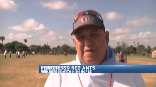 red ants of progresso