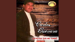 Video thumbnail of "Carlos Guevara - Te Quiero Por Eso"