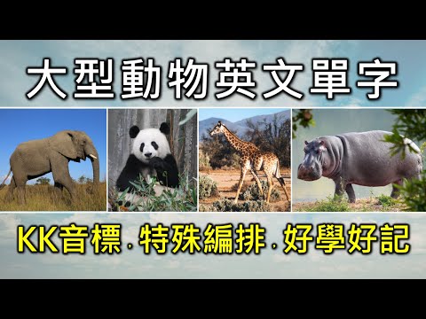 24個英文單字+KK音標，單字音標一起學。大型動物相同情境英文單字，快速擴充單字量。單字記憶通，好唸，好記，學得快，增加學習樂趣，快速學習大量單字。