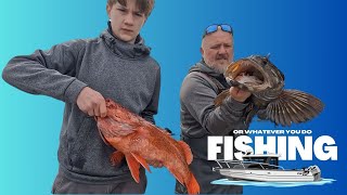 Catch/Clean/Cook  Lingcod & Giant Vermilion  Neah Bay + Almost Eaten By A Giant Sea Lion!