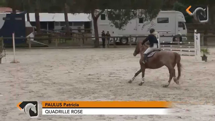 20150328 LEGE CAP FERRET 31 PAULUS Patricia QUADRI...