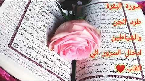 سورة البقرة ☘️ بصوت عذب يذيب النفوس.... طاردة الجن والشياطين .....سورة البقرة كاملة.