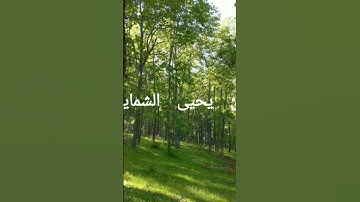 إن الذين آمنوا وعملوا الصالحات كانت لهم جنات الفردوس نزلا. آيات من سوره الكهف