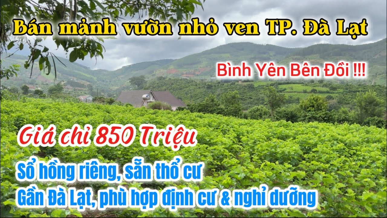 🏡Bán rẻ 850 triệu mảnh vườn đẹp ven TP. Đà lạt  - Sổ hồng riêng, sẵn thổ cư, cảnh quan đẹp