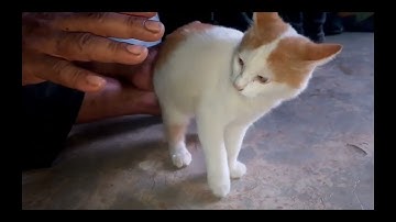 Tugas Video Informatika ( Membuat vlog ) 