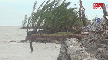 Cà Mau ban bố tình huống khẩn cấp sạt lở đê biển Tây