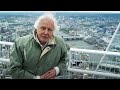 Cities that are saving the planet  planet earth ii  bbc earth