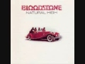 Bloodstone - Natural High LP 1972