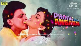 Chori Chori Dil Tera Churayenge {Phool Aur Angaar 1993} Eagle Ultra Classic Jhankar