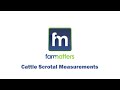Farm Matters Cattle Scrotal Measurements