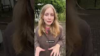 Quais as diferenças entre neblina, nevoeiro e cerração?
