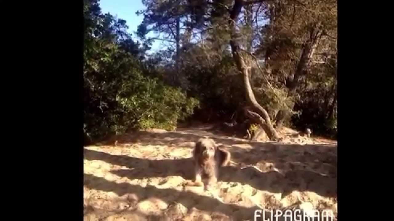 Dan & Dina's Maiden Voyage