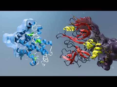 AI for Quantum  NVIDIA Ising Accelerates Useful Quantum Computing