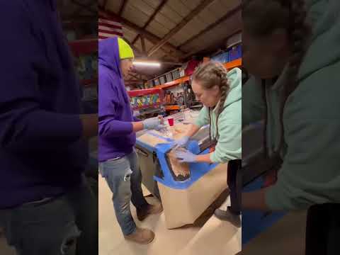 Fiberglass Repair On My Jeep JKU Hard Top 