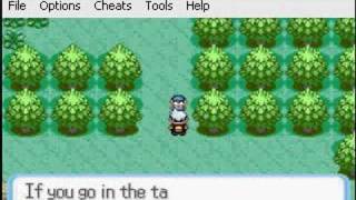 Pokemon Ruby ep.1 getting blade de Treecko