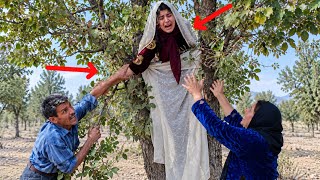 😱💔 What Did Fatemeh Do to Escape Forced Marriage?!