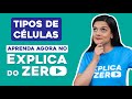 TIPOS DE CÉLULAS | Biologia | Explica do Zero | Profa. Cláudia de Souza Aguiar