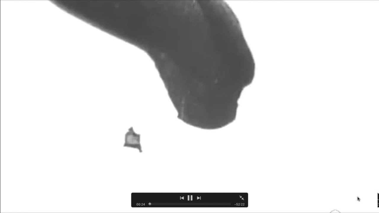 observation balloons WW1