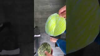 Solar and lunar eclipses #shorts #lunarandsolareclipses