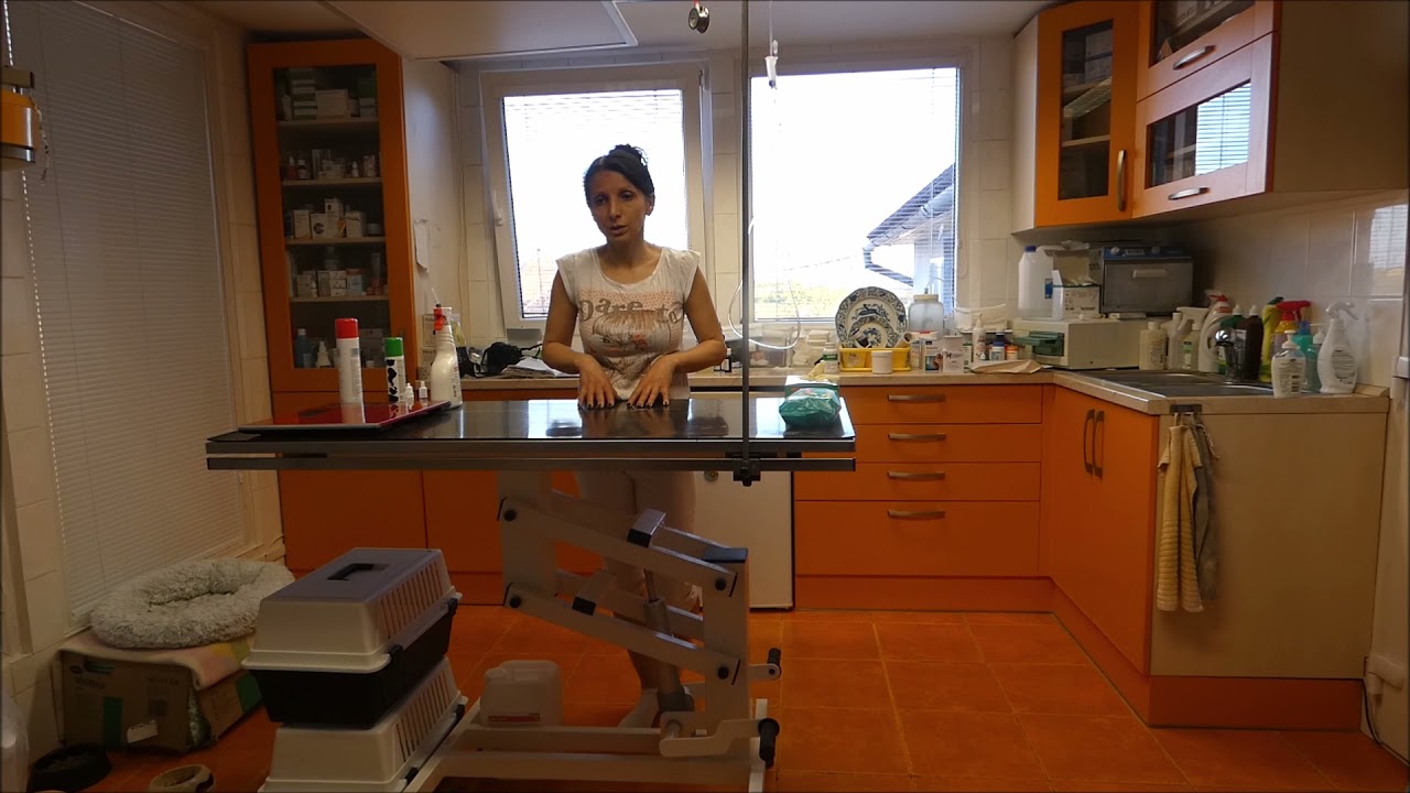 Jak je to s pohřbíváním kočiček?