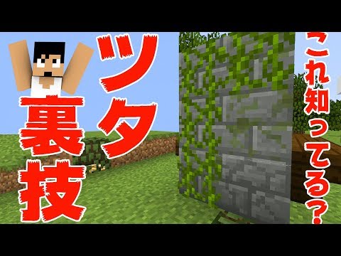 カズクラ これ知ってる ツタの裏技教えます マイクラ実況 Part262 Youtube