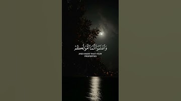 تلاوة خاشعة للشيخ محمد صديق المنشاوي رحمه الله